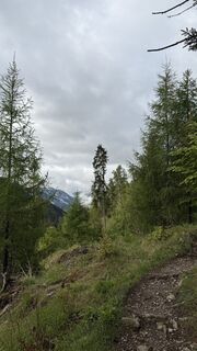 Fotografija s spletne strani Zacki85 na poti