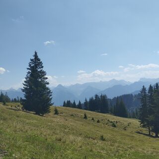 Fotografija s spletne strani TJL na poti