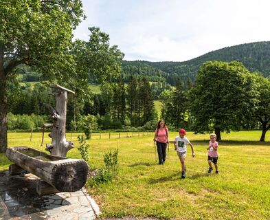 Wandern