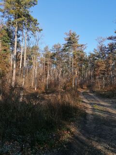 Fotografia z Sonce.S na trase