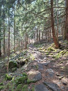 Fotografie z Marcel Pätzold na trase