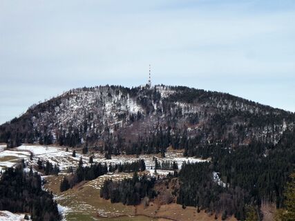 Gaisberg - Gipfelzone