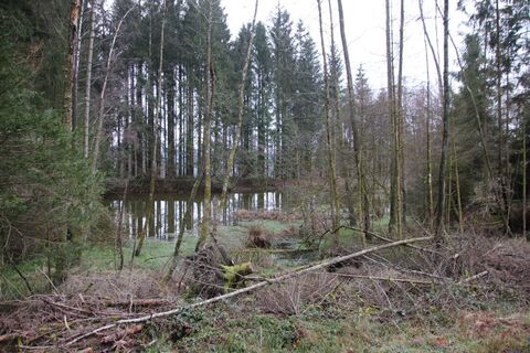 Fotografia z Günter Kleutsch na trase