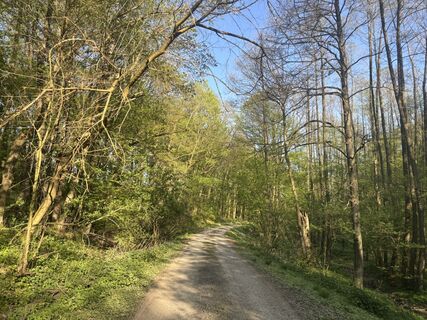 Foto de Reti Alicia a lo largo del recorrido