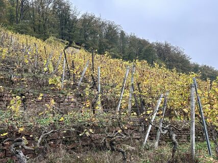 Fotografie de la Norbert Herbig de-a lungul turului
