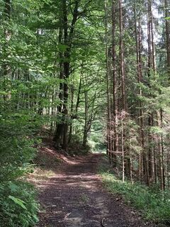 Foto von Pinzger Petra ♀️?? entlang der Tour