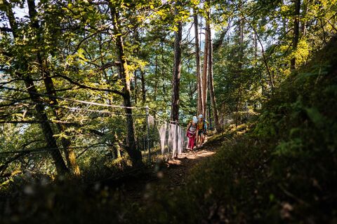 Wanderweg Peterlewand