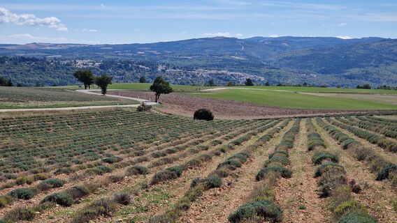 Foto von Fabrizi Mellano entlang der Tour