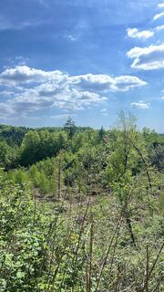 Photo de Denise Weinmann le long du parcours