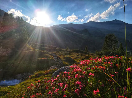 Sonnenuntergang an der Lizumer Hütte