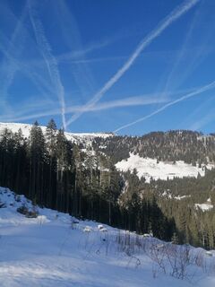 Photo de R. H le long du parcours