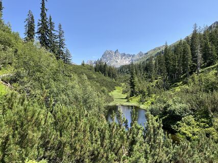 Foto de Andi72U a lo largo del recorrido