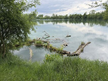 Fotografija s spletne strani Ulrike bruckschwaiger na poti