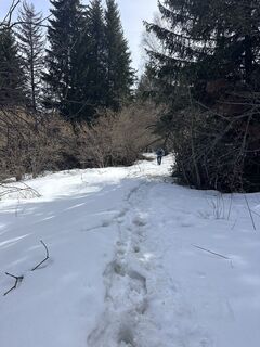 Fotografia z Georgi Lazarov na trase