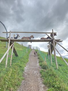Photo de Charly Melcher 1 le long du parcours