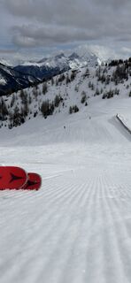 Fotografie z Roman na trase