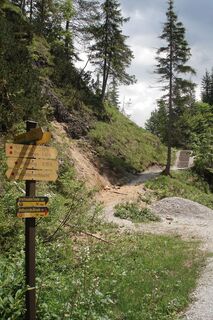 Variante 1 