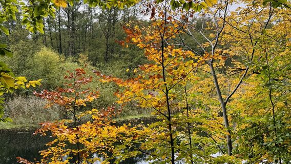 Fotografia z Christian Arndt 1 na trase