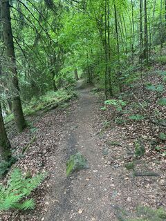 Photo de Thorsten Strüver le long du parcours