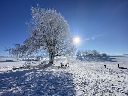 Fotografie z Sven Krieblin na trase