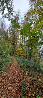 Photo de Hans Klamer le long du parcours