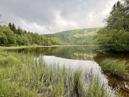Foto de Natur_erleben_dg a lo largo del recorrido