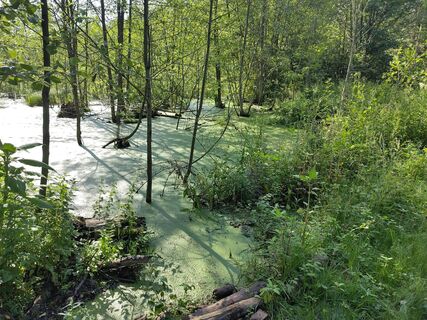 Foto von ulibueck entlang der Tour
