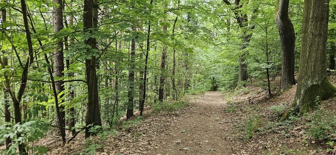 Foto van Andreas Henning langs de tour