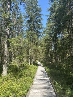 Photo de Sina Johanna le long du parcours