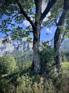 Photo de Kellner Heidi le long du parcours
