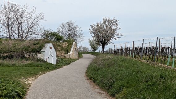 Fotografie z Moni M na trase