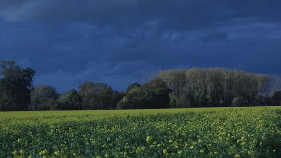 Fotografie z Evgeny Shirkin na trase