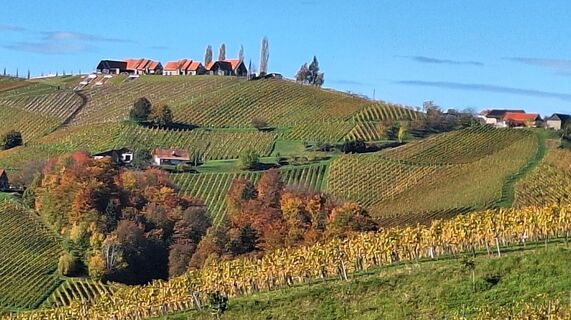 Fotografia z Karl Kriegseisen na trase