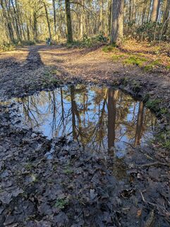 Photo de Matje Derks le long du parcours