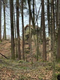 Foto de Denise Miller a lo largo del recorrido