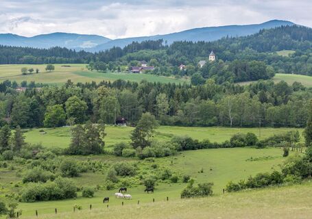 Blick über das Moor