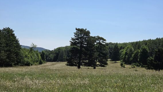 Fotografia z fschwarzenberger na trase