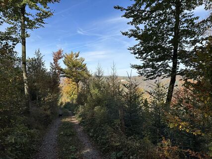 Foto da Günter Schwarz lungo il tour