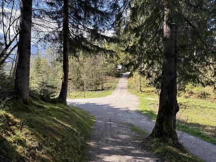 Foto de Similaun a lo largo del recorrido