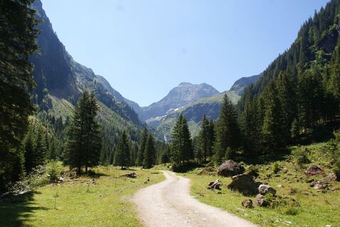 Der Weg in die Untere Stegeralm