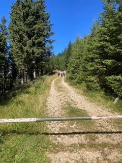 Familienwanderung am Panoramaweg