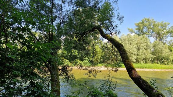 Foto von Erna Linser entlang der Tour