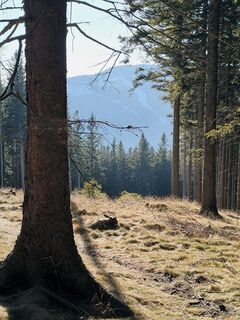 Foto von Ildikó entlang der Tour