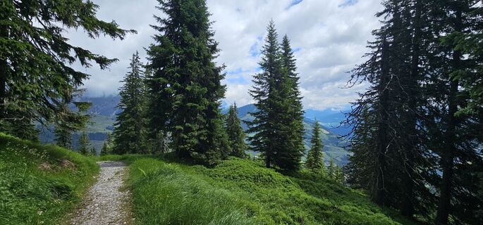 Fotografie z Michael Ganswind na trase