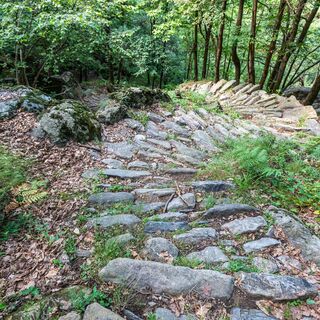 Mulattiera di Uschione