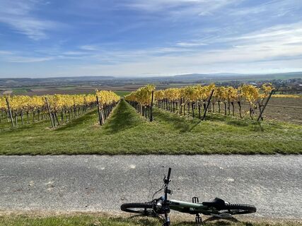 Foto von Adrian Coroi entlang der Tour