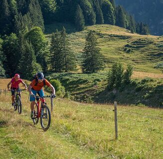 Wiesenpfad vor der Kuhschwand Alpe