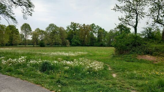 Foto de Silvano Manzoni a lo largo del recorrido
