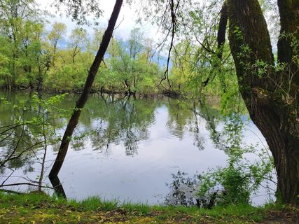 Foto fra yolanda beck underveis på turen