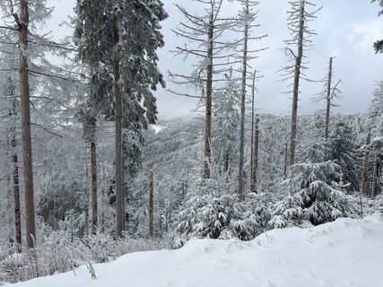 Zdjęcie z Dominik wzdłuż trasy